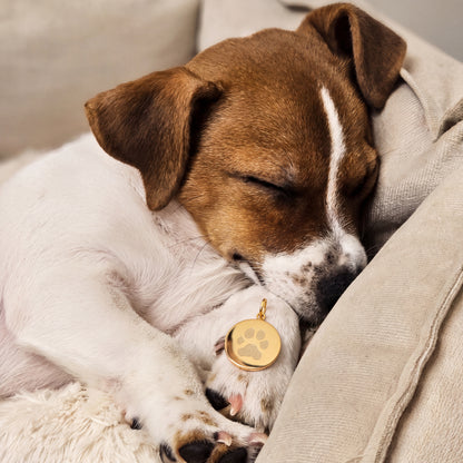 color:gold