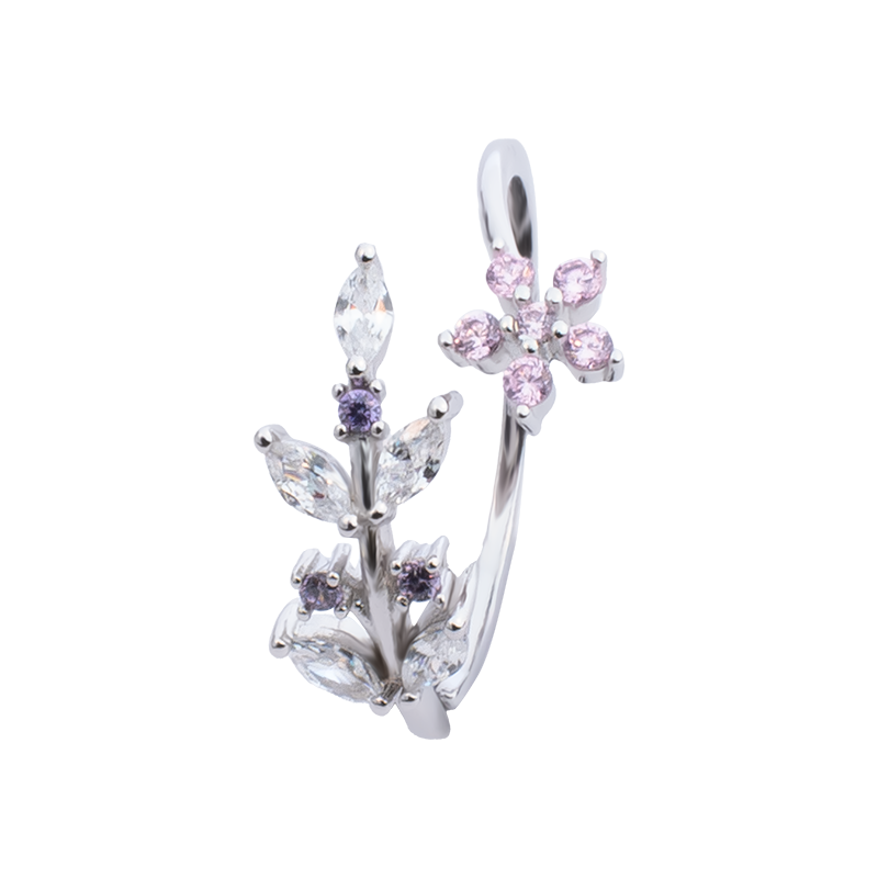 color:silber