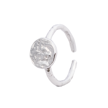 color:silber
