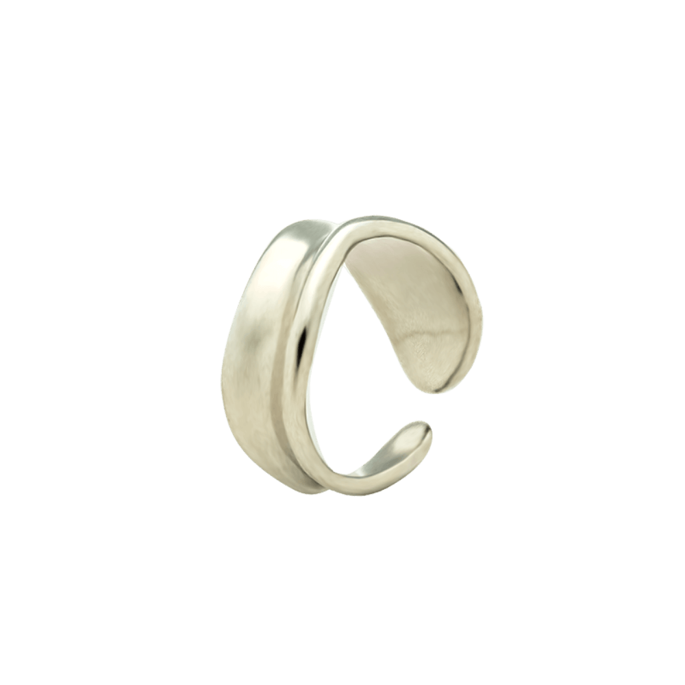 color:silber