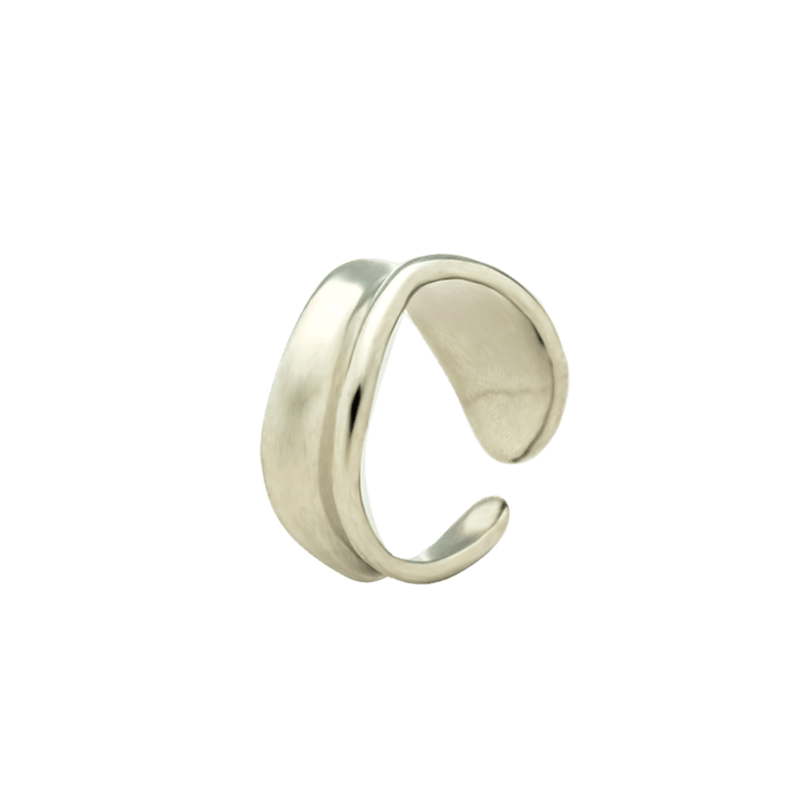 color:silber