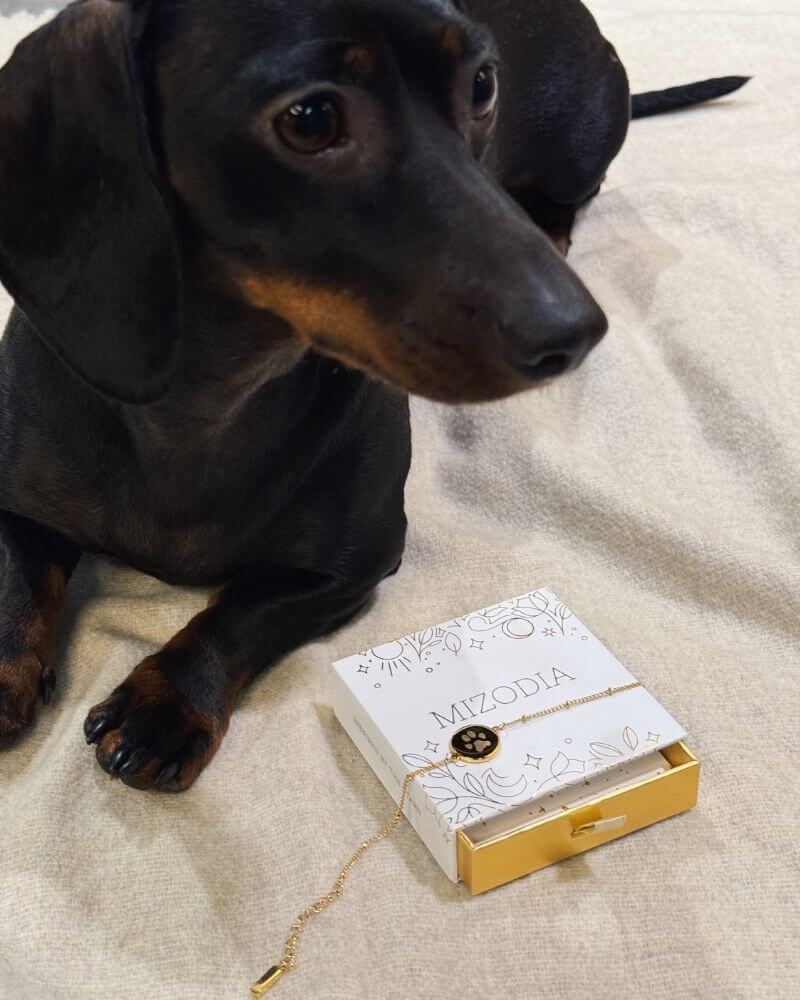 Pudel Welpe liegt neben einem goldenen Pfotenabdruck Armband.